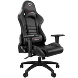 Carry Series Gaming Chair WCG Ergonomic